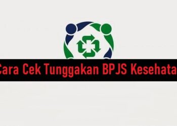 7 Cara Cek Tunggakan BPJS Kesehatan Online 9 Private Instagram Viewer Tanpa Verifikasi