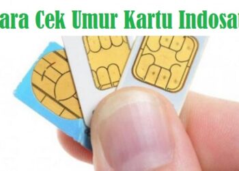 Cara Update iOS di 3utools