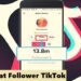 Cara Cheat Follower TikTok 8 Cara Download Minecraft di PC Gratis