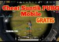 Download Skin Minecraft Gratis Disini