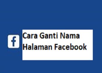 Download Whaff Rewards Apk untuk Android Gratis