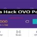 Cara Hack Verifikasi Instagram