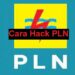 Cara Hack PLN 8 Cara Hapus Akun DANA di Snack Video