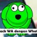 Cara Hack WA Dengan WhatsDog 8 Cara Hack LMS