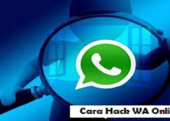 5 Cara Hack WA Online yang Sering Digunakan Hacker 9 Cara Mendapatkan Listrik PLN Gratis Lewat WhatsApp