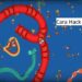 Cara Hack Zona Cacing (Worm Zone) 8 7 Cara Meningkatkan FPS Valorant