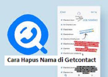 Download Whaff Rewards Apk untuk Android Gratis