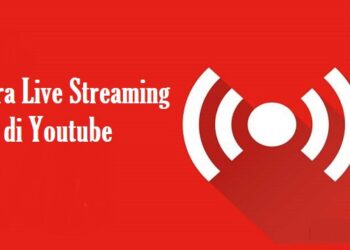 Cara Menggunakan Pointszone Whatsapp Hack