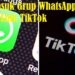 Cara Masuk Grup WhatsApp Melalui Link TikTok, Mudah dan Praktis