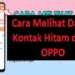Cara Membuat 2 WA Dalam 1 HP