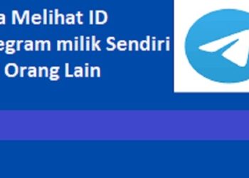 Download FM WhatsApp Apk 2026 untuk Android Gratis