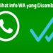 3 Cara Melihat Info WA yang Disembunyikan Mudah 8 3 Cara Melihat Info WA yang Disembunyikan Mudah