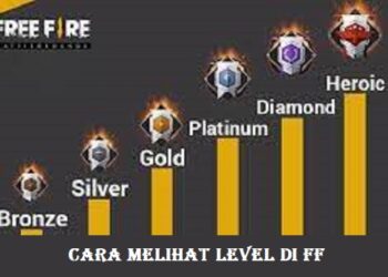 Cara Melihat Level di FF 7 Cara Bypass Emulator Phoenix OS