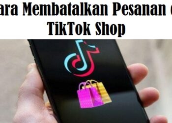 Cheat Harvest Moon PS2 Bahasa Indonesia Terlengkap dan Terupdate