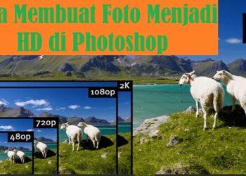 5 Aplikasi Animasi 2D Android Gratis yang Banyak Digunakan