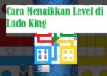 Cara Mudah Menaikkan Level di Ludo King