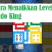 Cara Mudah Menaikkan Level di Ludo King