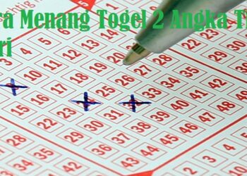 Cara Menggunakan Pointszone Whatsapp Hack