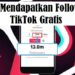8 Cara Mendapatkan Followers TikTok Gratis Tanpa Aplikasi 8 Counter Item Dominance Ice