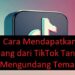 Private Instagram Viewer Tanpa Verifikasi