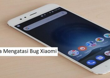 Cara Menggunakan Pointszone Whatsapp Hack