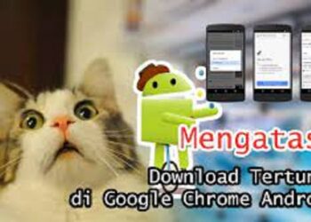 Cara Download Scribd Tanpa Login Tanpa Akun Gratis