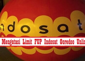 Cheat Harvest Moon PS2 Bahasa Indonesia Terlengkap dan Terupdate