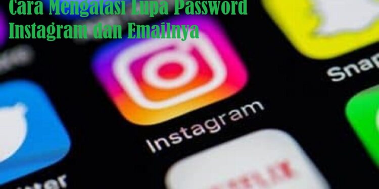 Cara Cek Kuota Gratis XL