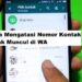 Cara Mengatasi Nomor Kontak Tidak Muncul di WA 8 Cara Download File Kadaluarsa di LINE