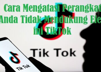 2 Cara Mendapatkan Koin Gratis di Goodnovel