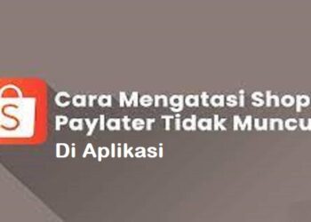 Cara Menulis Daftar Pustaka Dari Buku dan Contohnya