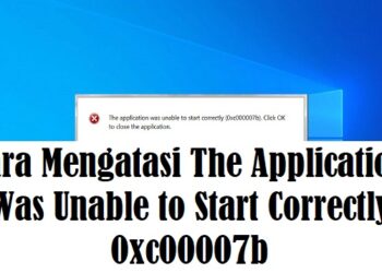 Cara Menyimpan Foto Dari WA ke Galeri Secara Otomatis dan Manual