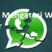 7 Cara Mengatasi WA Error 8 Cara Agar Status WA Tidak Bisa di Download