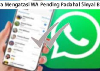 8 Cara Mengatasi WA Pending Padahal Sinyal Bagus 9 Cara Mengirim Spesial Airdrop Ke Akun Lain