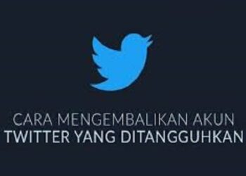 Download FM WhatsApp Apk 2026 untuk Android Gratis