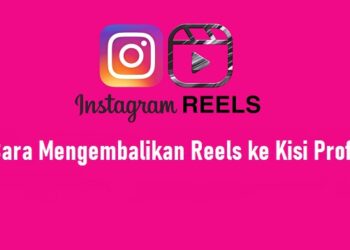 Link Download 8 Livery BUSSID Truck Gratis Terbaru