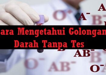 4 Cara Mengetahui Golongan Darah Tanpa Tes 9 Cara Hack GoodNovel dengan GoodNovel Mod APK