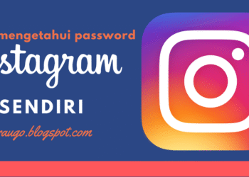 Download FM WhatsApp Apk 2026 untuk Android Gratis