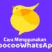 Cara Mengirim Spesial Airdrop Ke Akun Lain