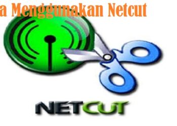 Cara Agar Status WA Tidak Bisa di Download