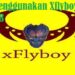 Cara Menggunakan Xflyboy Untuk Hack FB 8 Script Html Private Instagram