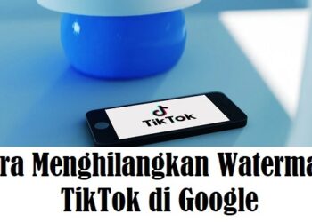 Cara Menyimpan Foto Dari WA ke Galeri Secara Otomatis dan Manual