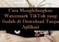 Cara Mendapatkan Koin Gratis di Wattpad