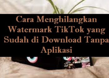 Cara Mendapatkan Koin Gratis di Wattpad