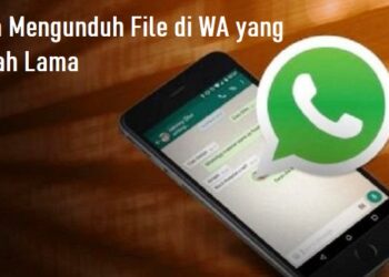 Download Lulubox FF Gratis