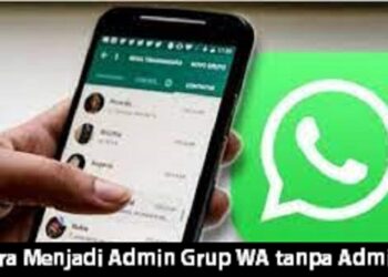 Cara Cek Saldo BRI Lewat SMS Mudah