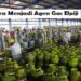 Cara Menjadi Agen Gas Elpiji 8 Cara Mengumpulkan Tugas di Google Classroom