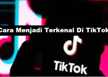 Download FM WhatsApp Apk 2026 untuk Android Gratis