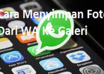 Cara Menyimpan Foto Dari WA ke Galeri Secara Otomatis dan Manual 9 Cara Menyimpan Foto Dari WA ke Galeri Secara Otomatis dan Manual