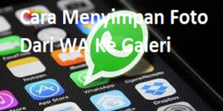 Cara Menyimpan Foto Dari WA ke Galeri Secara Otomatis dan Manual 1 Cara Menyimpan Foto Dari WA ke Galeri Secara Otomatis dan Manual